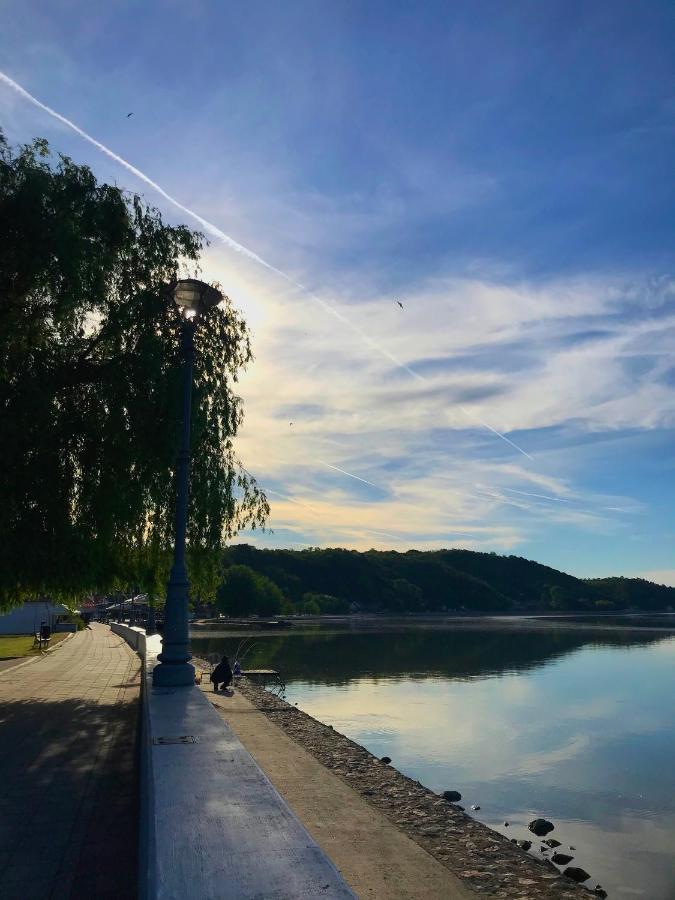 Appartamento Soba Milojkovic Golubac Esterno foto