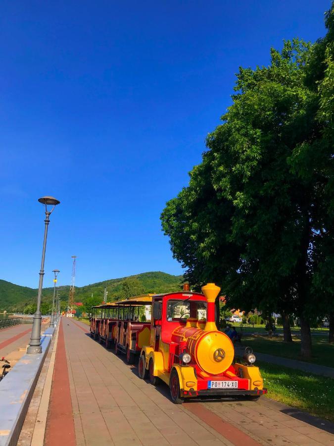 Appartamento Soba Milojkovic Golubac Esterno foto